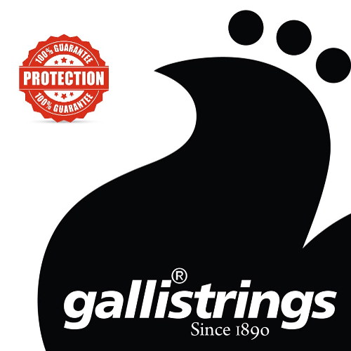 Galli RS946 elektromos gitár húrszett (.009)