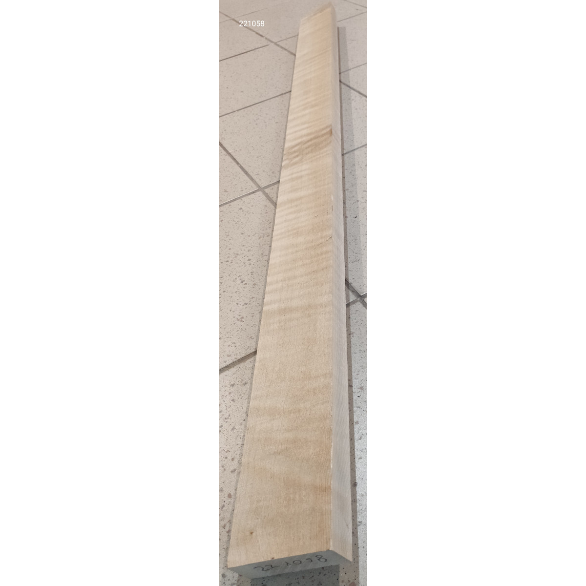 Habos juhar  (Acer pseudoplatanus) long 221058