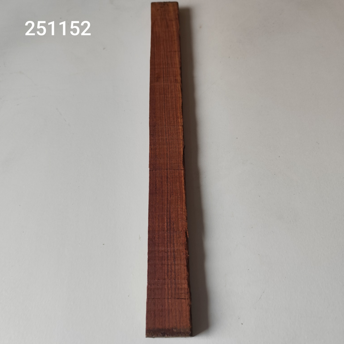 Kingwood húrláb - dupla Nr. 251152