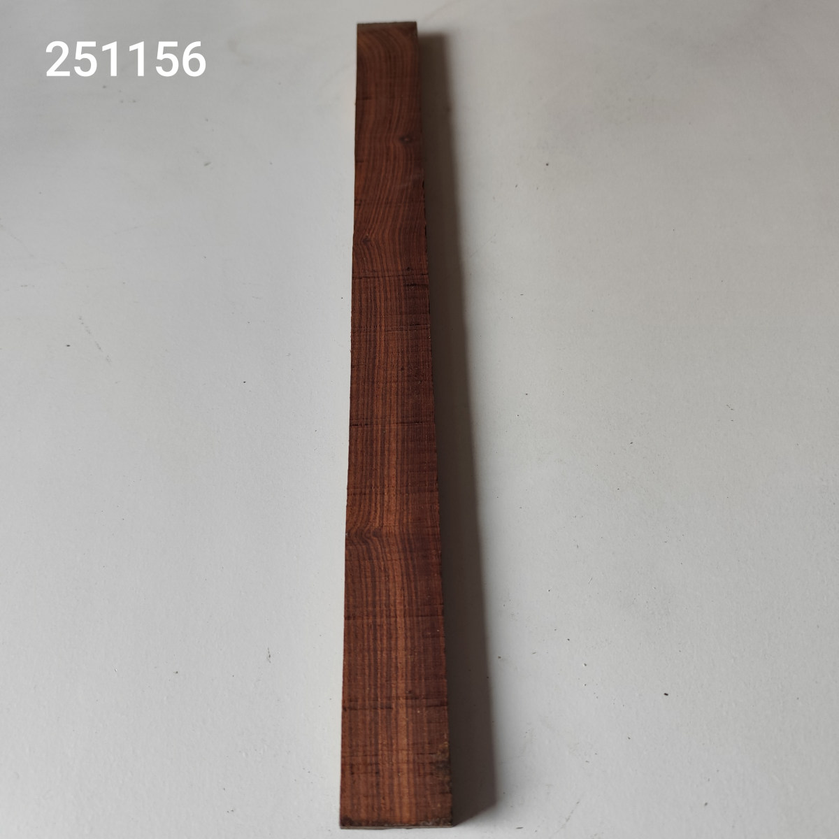 Kingwood húrláb - dupla Nr. 251156