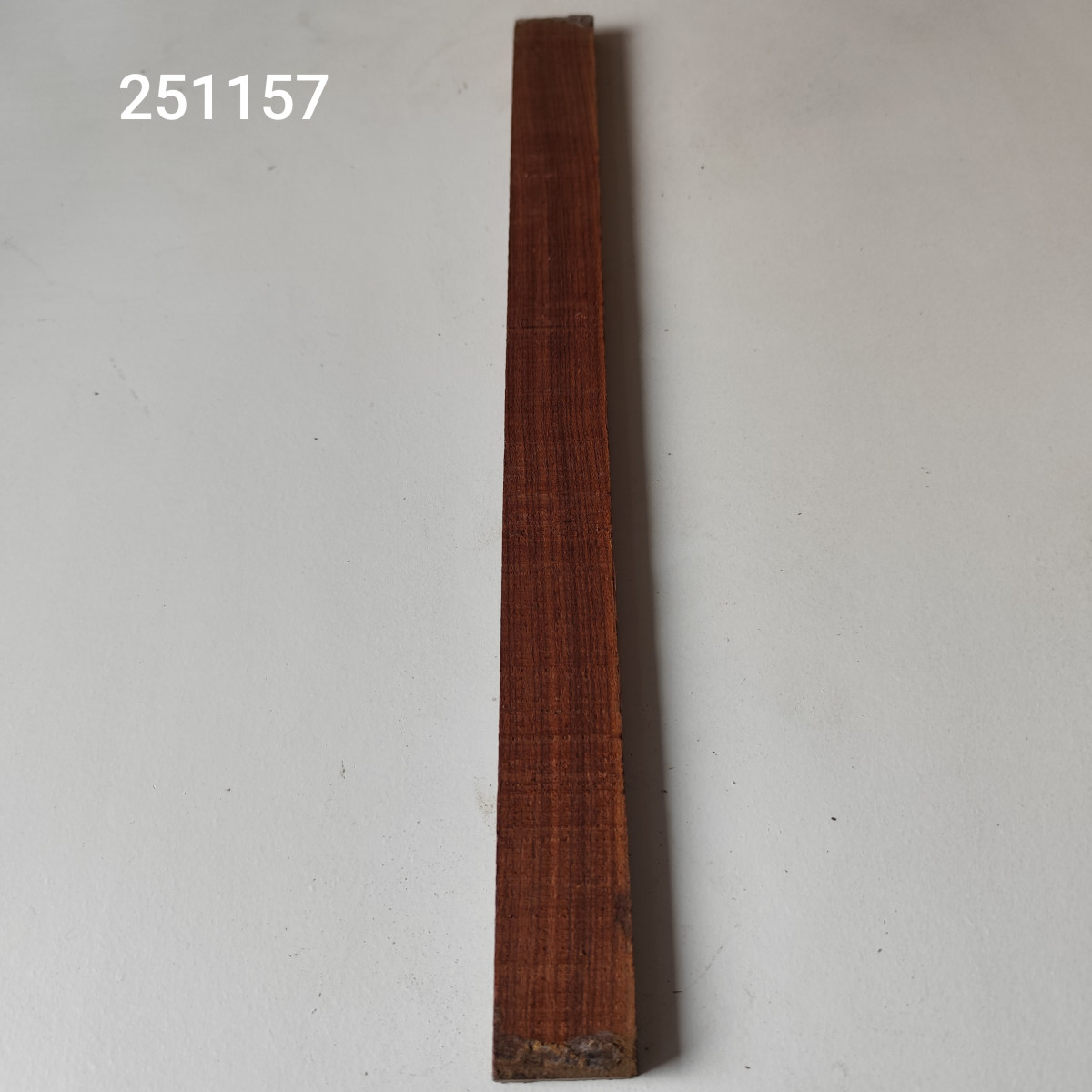 Kingwood húrláb - dupla Nr. 251157