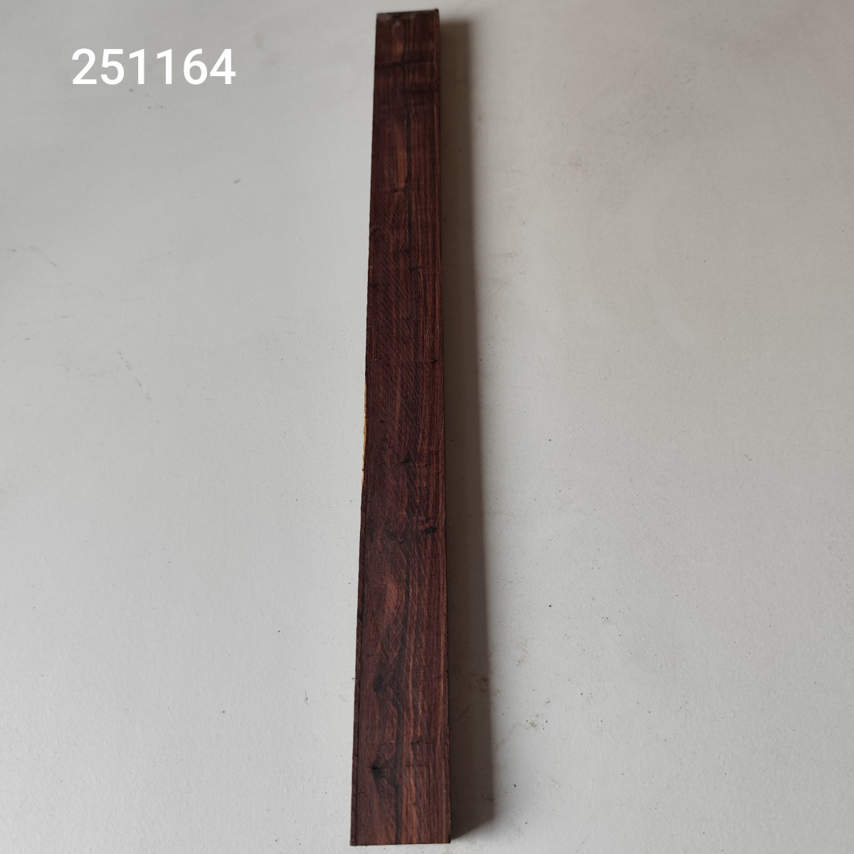 Kingwood húrláb - dupla Nr. 251164
