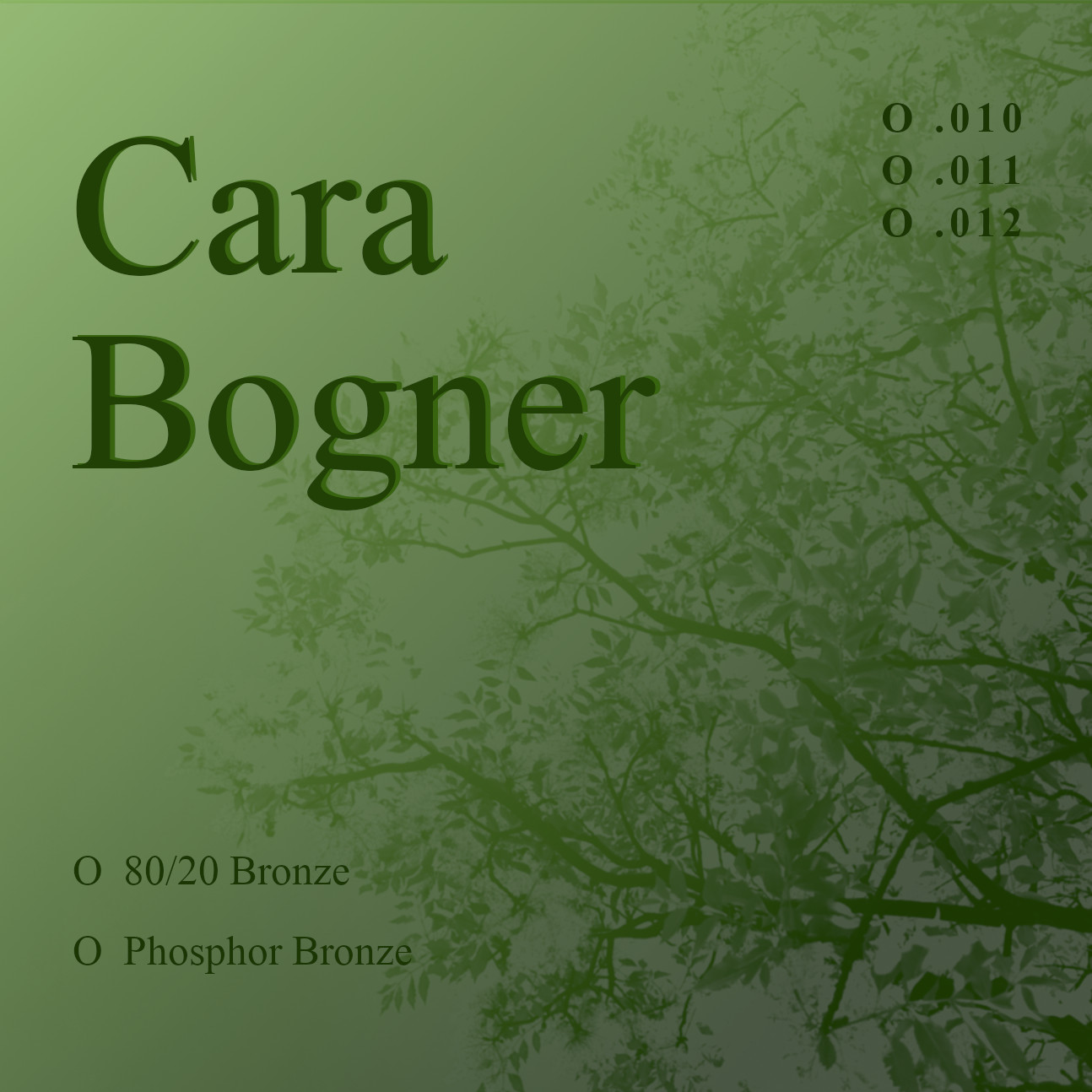Cara Bogner 80/20 bronze 10-47 akusztikus gitár húrszett